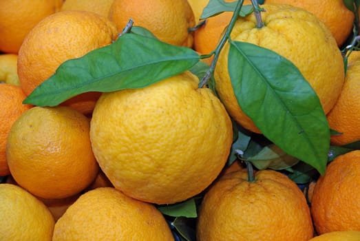 Organic oranges