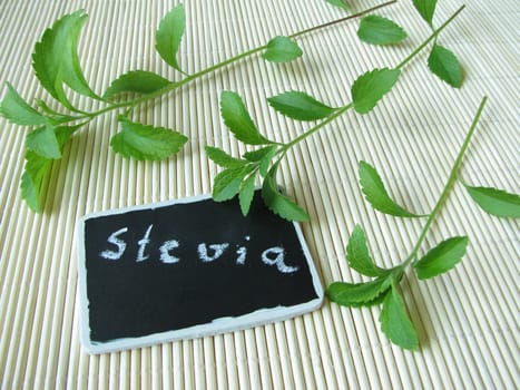 Stevia,sweet herb with name board