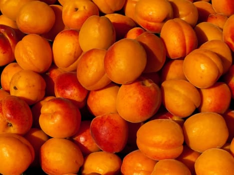 Apricots