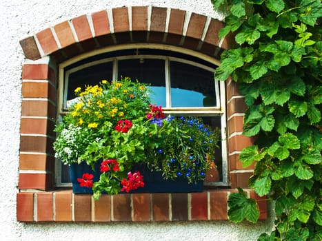 Flower window