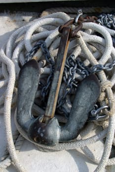 Folding anchor with anchor line