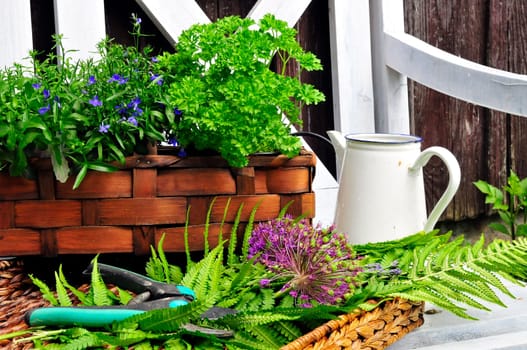 Herb Garden Bench