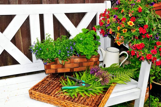 Herb Garden Bench