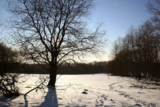 Snow-covered landscape on the Hoher Meißner