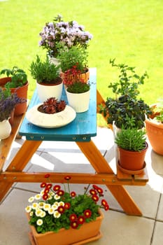 Terrace or roof gardening