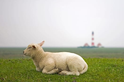 at the lighthouse