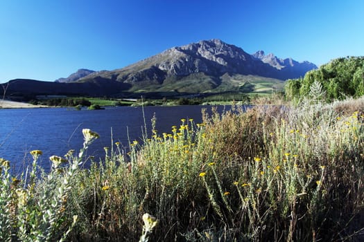 landscape in South Africa