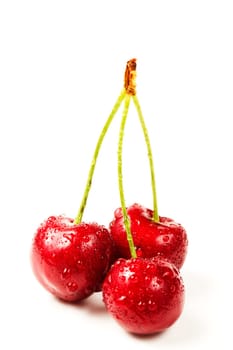 Three Wet Cherries