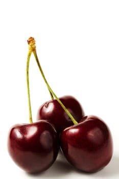 Three Cherries