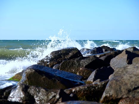 Surf