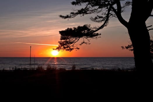 In the evening....