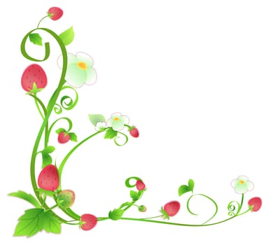 strawberry