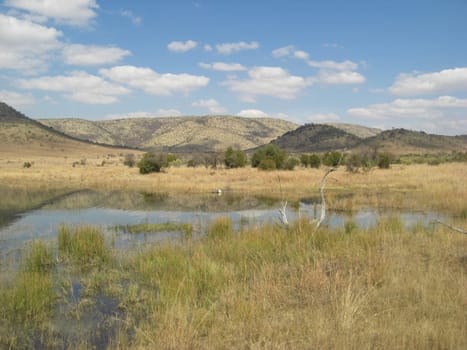Pure nature in South Africa