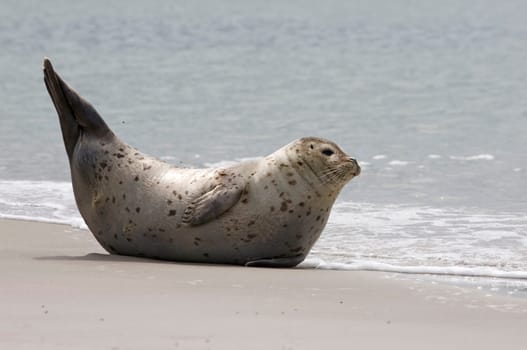 Heligoland