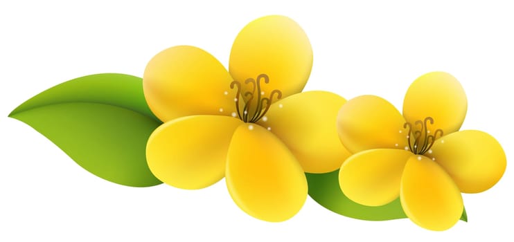 yellow flower