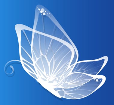 butterfly