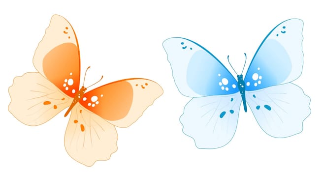 butterfly