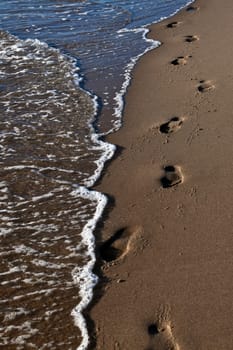 Footprints in the sand......