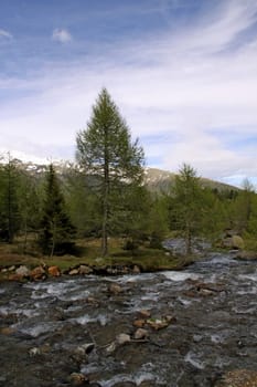 South Tyrol: Weißbrunnsee nature reserve in Val d'Ultimo near Merano