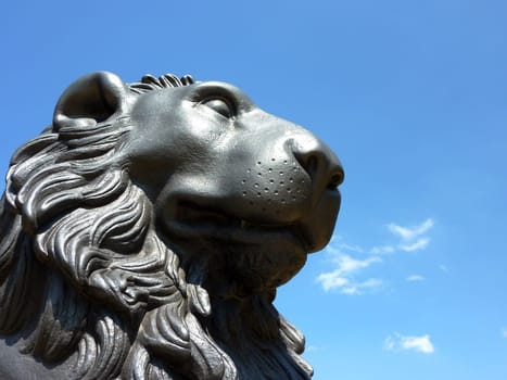 Lions