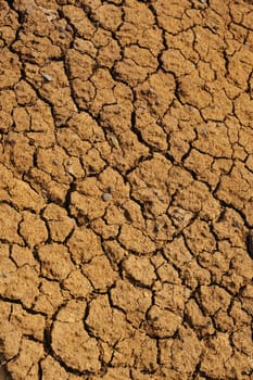 Cracked dry ground texture - background