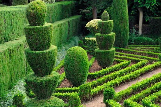 Decorative green park Botanical garden Funchal, Madeira