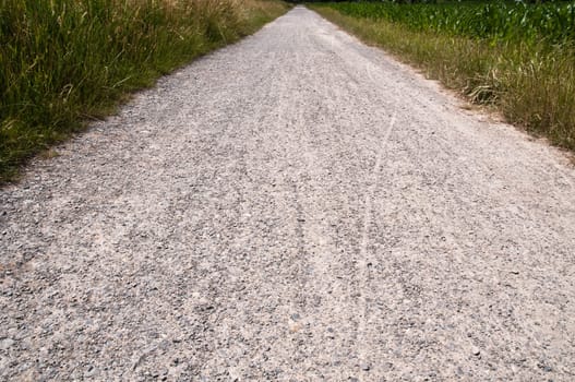 Dirt road and meadow