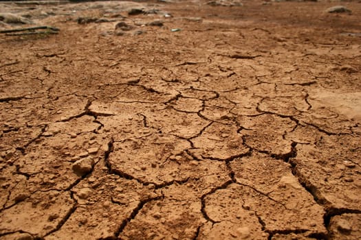 Parched soil