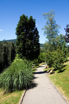 Park in the Black Forest,Beiersbronn
