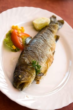 Grilled trout
