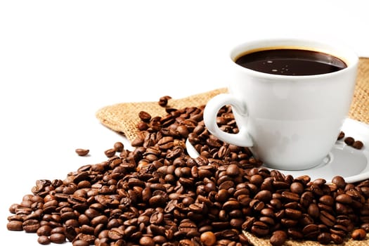 Coffee Beans with Coffee Jute HG