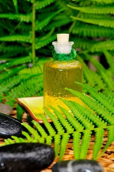 Wellness Sauna Oil