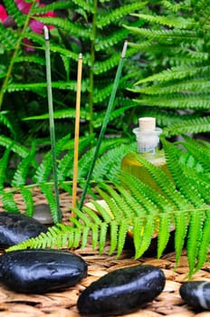 Wellness Sauna Oil