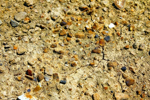 stony ground