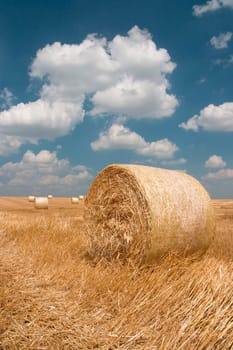 Agriculture - Haystack