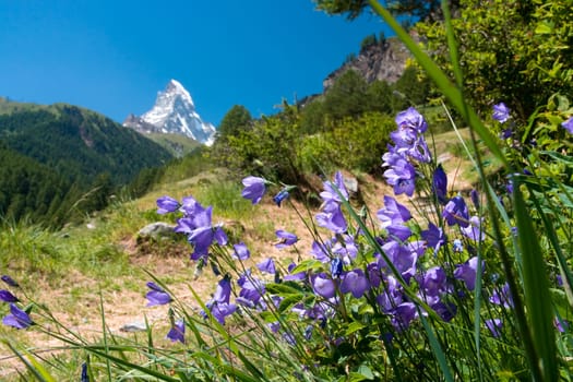 Matterhorn - Swiss Alps