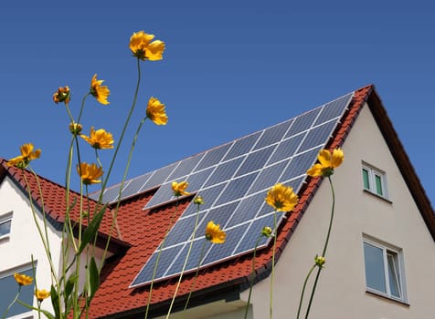 Solar cells on house roof behind flowers