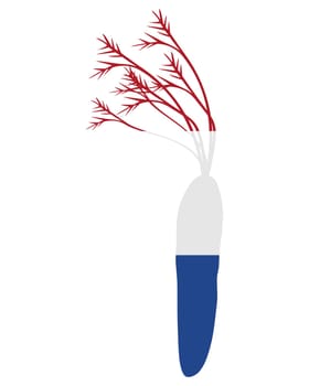 Dutch carrot
