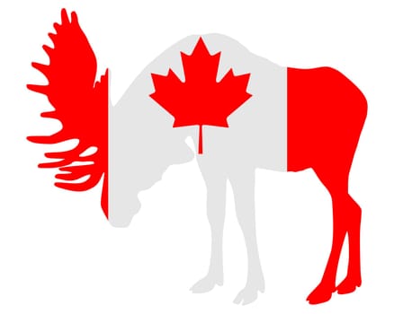 Moose in Canada Flag