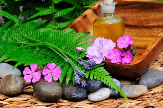 Flowers,Leaf,Stones,Lavender