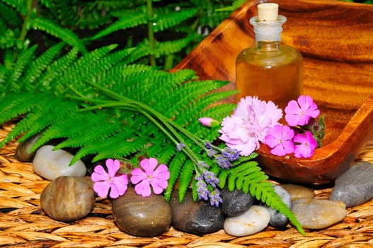 Flowers,Leaf,Stones,Lavender