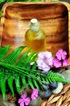 Flowers,Leaf,Stones,Lavender