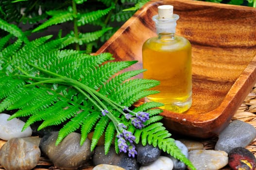Wellness Sauna Oil