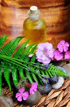 Blossoms,Oil,Stones,Lavender