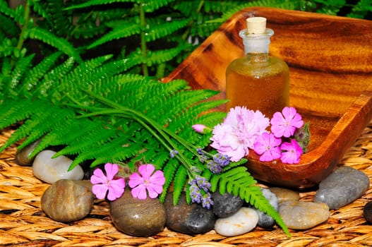 Flowers,Leaf,Stones,Lavender
