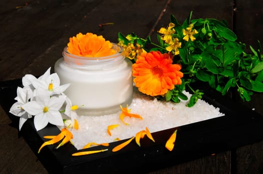 Naturopathy Plants Marigolds