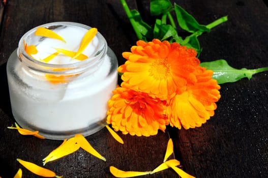 Naturopathy Plants Marigolds