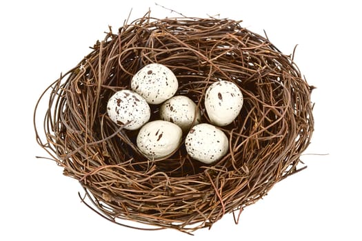 Nest isolated.