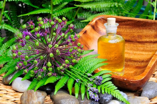 Wellness Ornamental Garlic