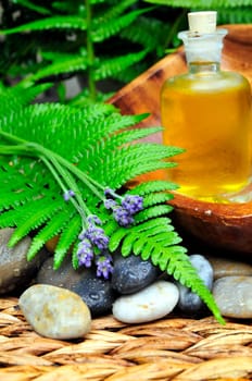 Leaf Oil Lavender